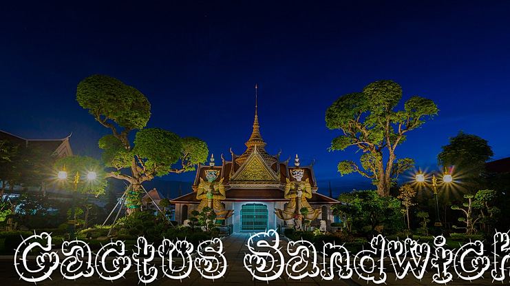 Cactus Sandwich Font Family