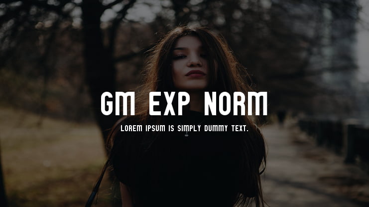 GM Exp Norm Font Family
