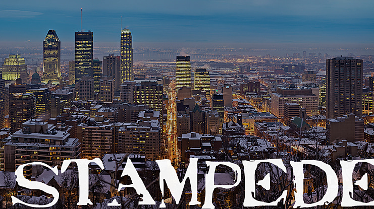 Stampede Font