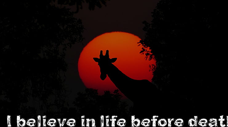 I believe in life before death Font