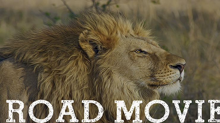 ROAD MOVIE Font
