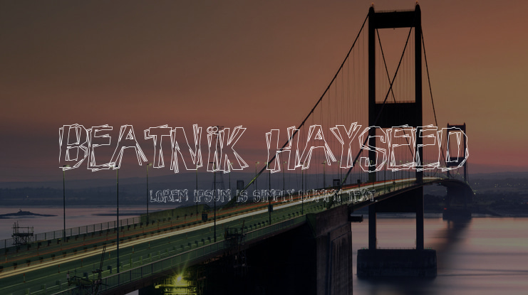 Beatnik Hayseed Font