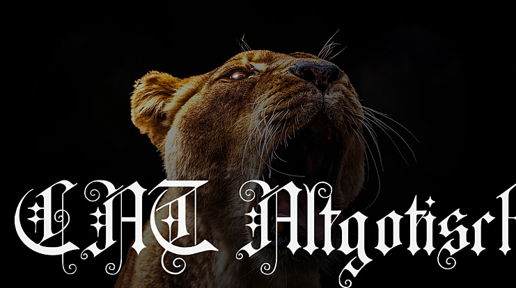 CAT Altgotisch Font