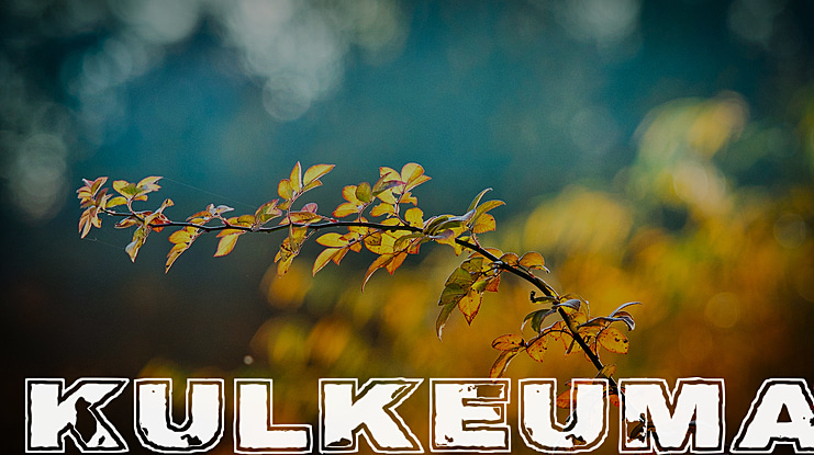 Kulkeuma Font