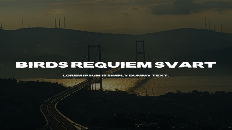 Birds Requiem Svart Font Family