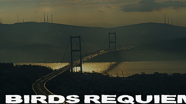 Birds Requiem Svart Font Family