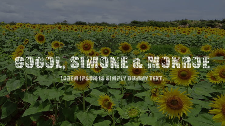 Gogol, Simone & Monroe Font