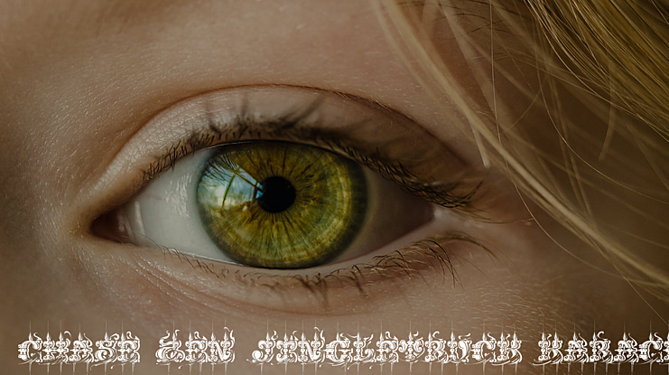 CHASE ZEN JINGLETRUCK KARACHI Font