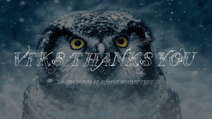 Vtks Thanks You Font
