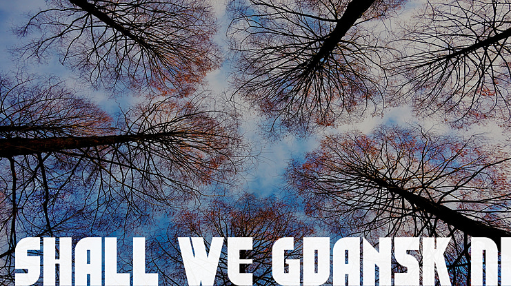 Shall We Gdansk NF Font