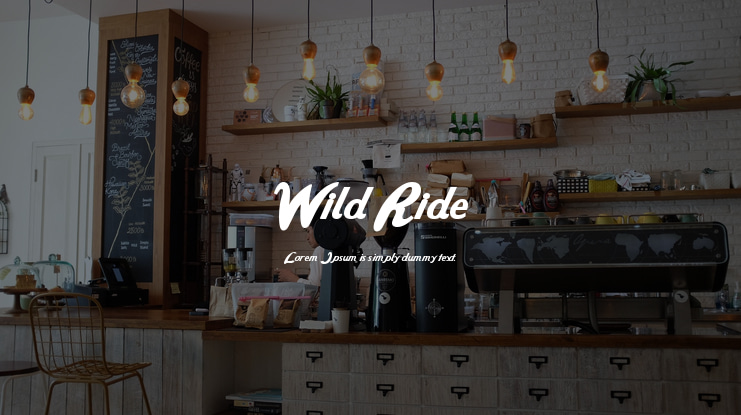 Wild Ride Font Family