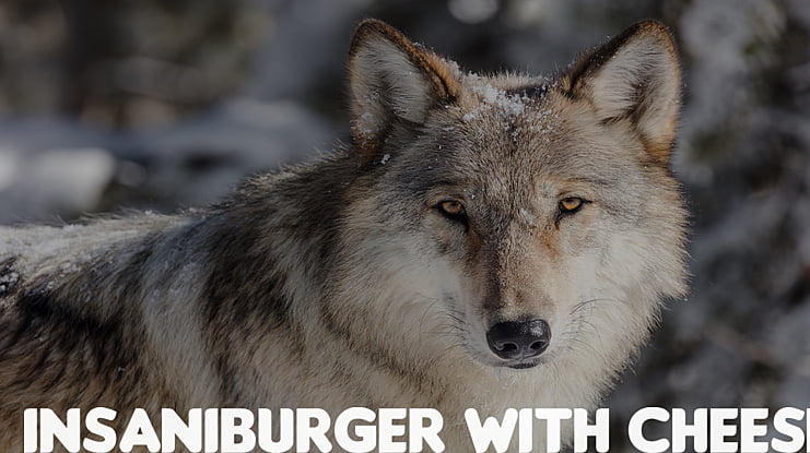 Insaniburger with Cheese Font Family