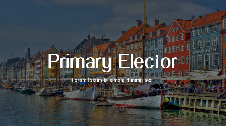 Primary Elector Font Family