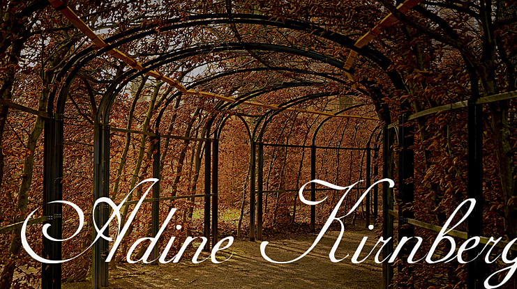 Adine Kirnberg Font Family