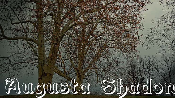 Augusta Shadow Font Family
