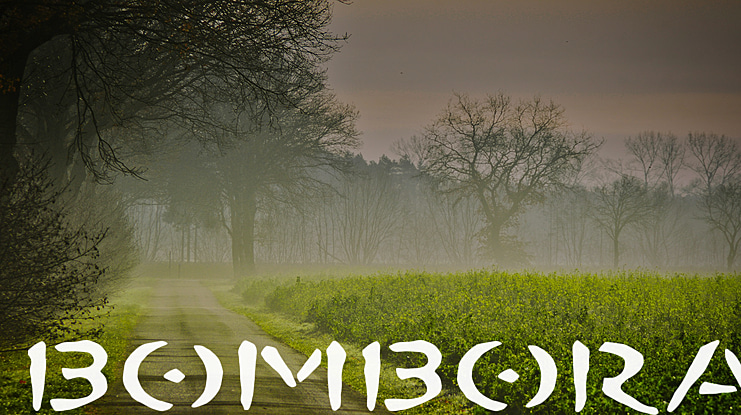 BOMBORA Font