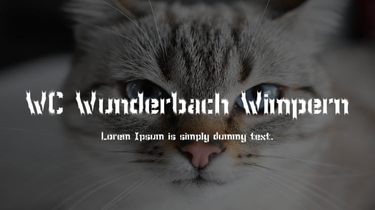 WC Wunderbach Wimpern Font