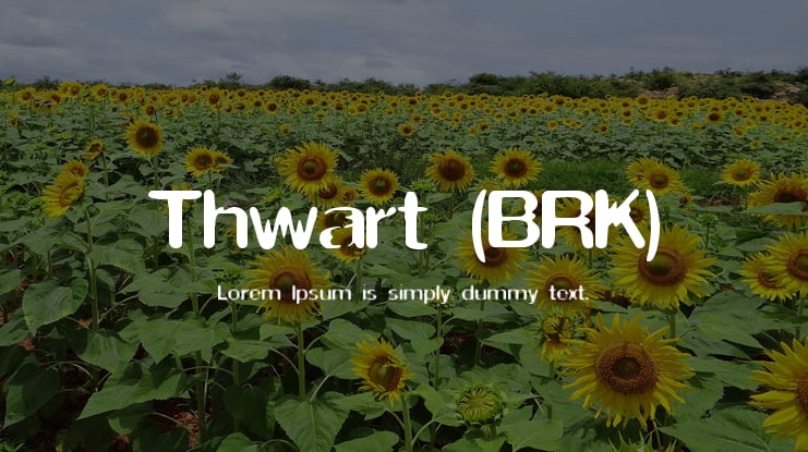 Thwart (BRK) Font
