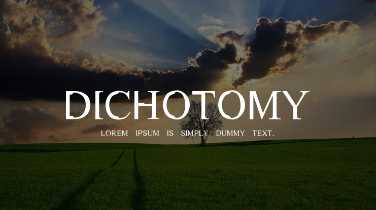 Dichotomy Font