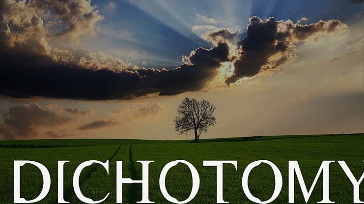 Dichotomy Font
