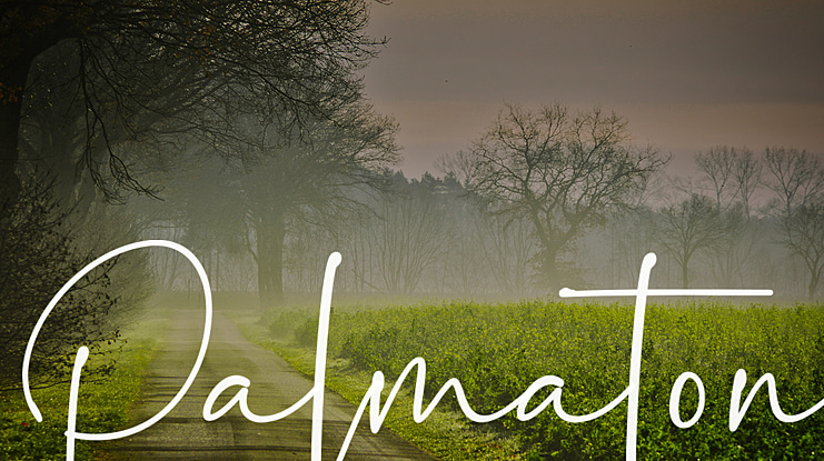 Palmaton Font