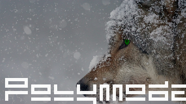 Polymoda Font
