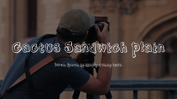 Cactus Sandwich Plain Font