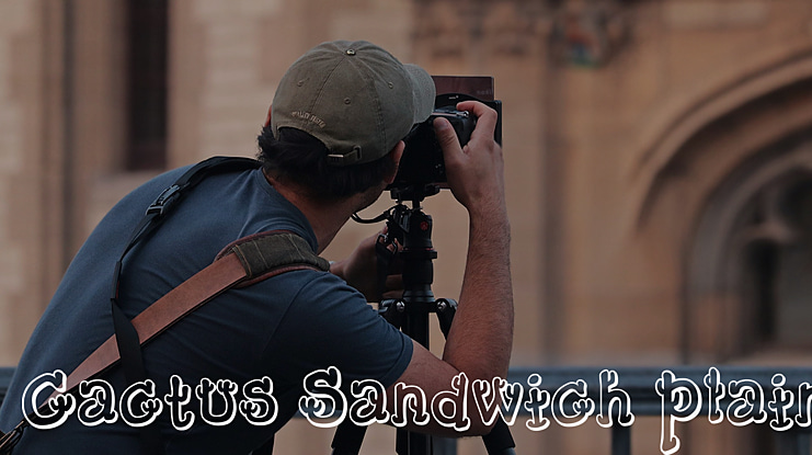 Cactus Sandwich Plain Font