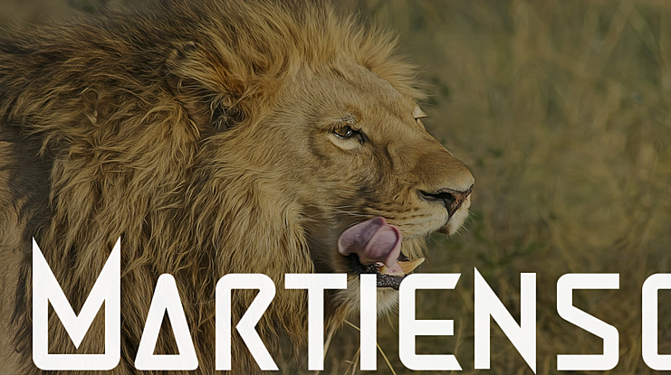 Martienso Font Family