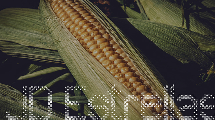 JD Estrellas Font