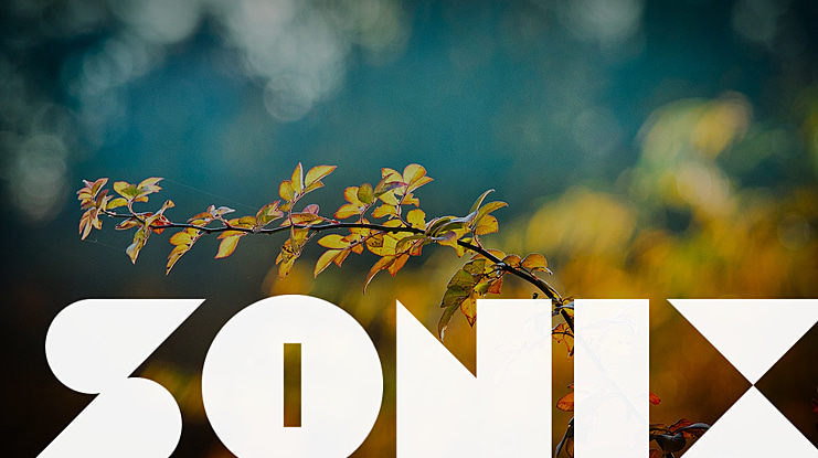 Sonix Font