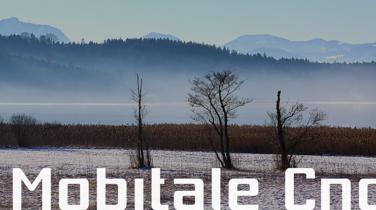 Mobitale Cnd Font Family