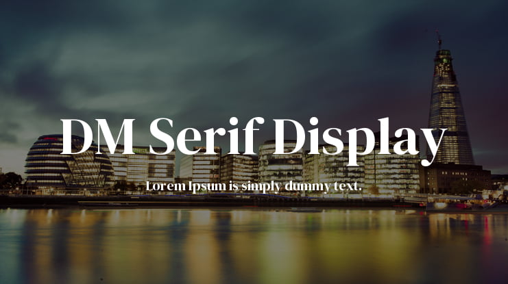 DM Serif Display Font Family
