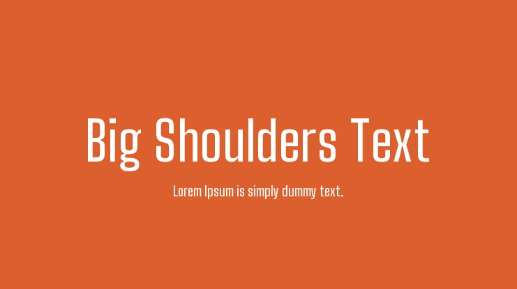 Big Shoulders Text Font Family