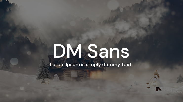 DM Sans Font Family