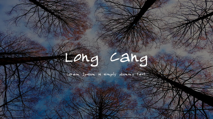 Long Cang Font