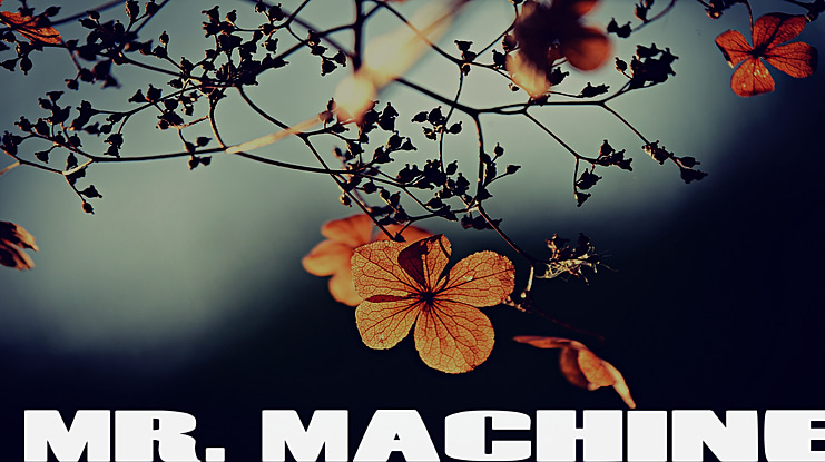 Mr. Machine Font Family
