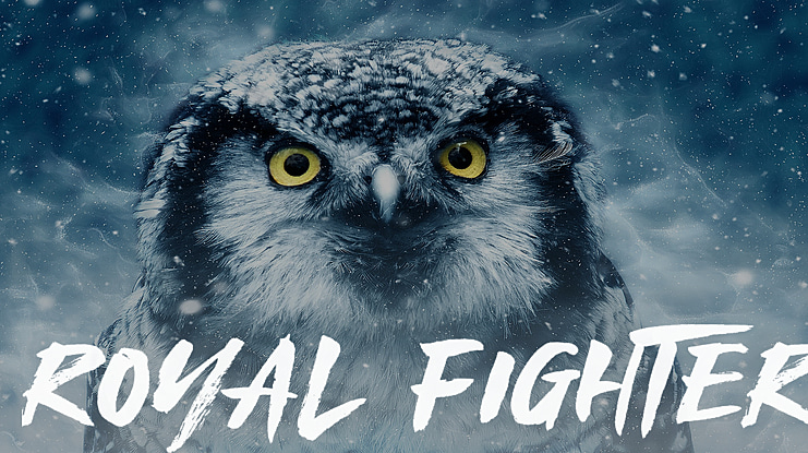 Royal Fighter Font