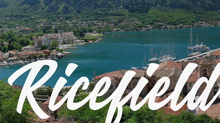 Ricefield Font