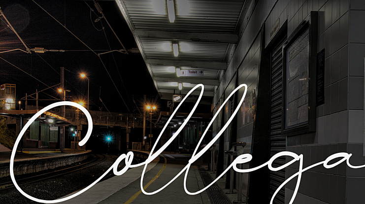 Collega Font