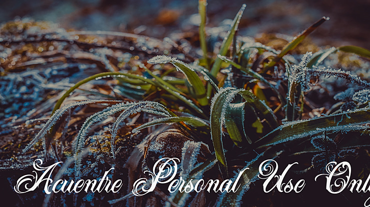 Acuentre Personal Use Only Font