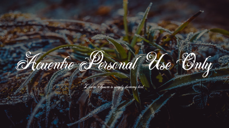 Acuentre Personal Use Only Font