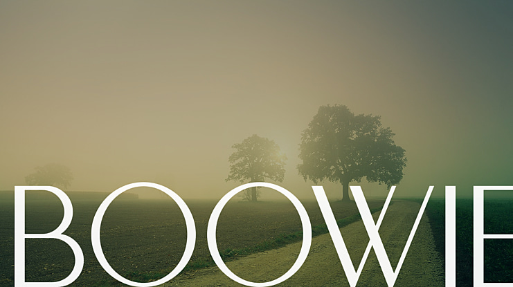 BOOWIE Font