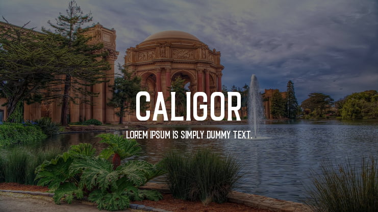 Caligor Font Family