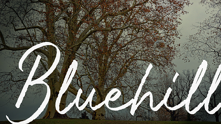Bluehill Font