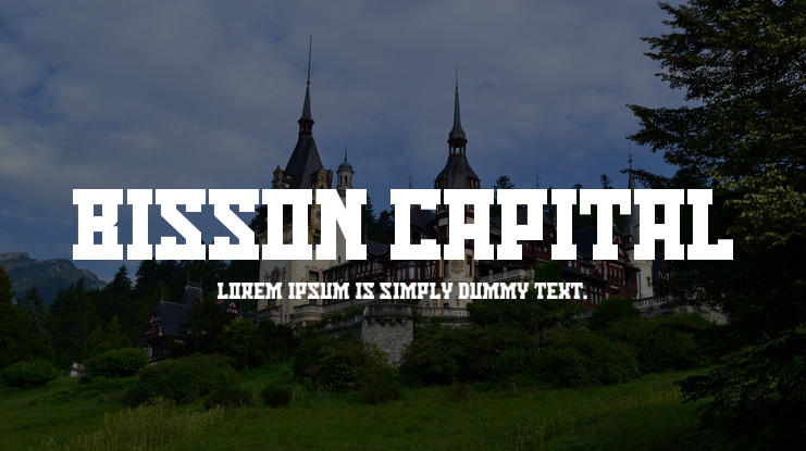 Bisson Capital Font