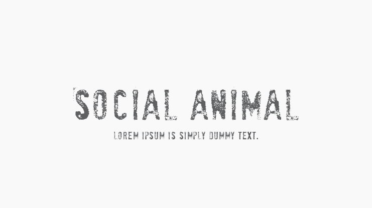 SociaL AnimaL Font