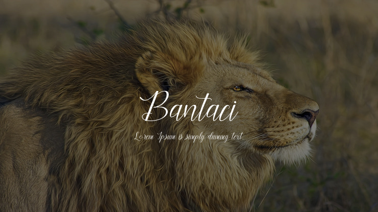 Bantaci Font
