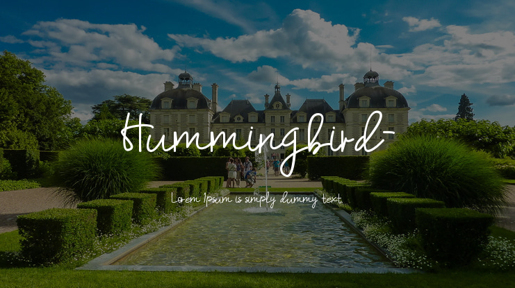 Hummingbird- Font