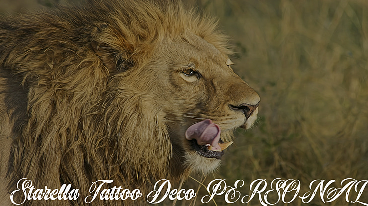 Starella Tattoo Deco PERSONAL Font Family